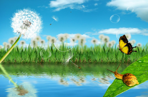 541880 (a): :2800x1842